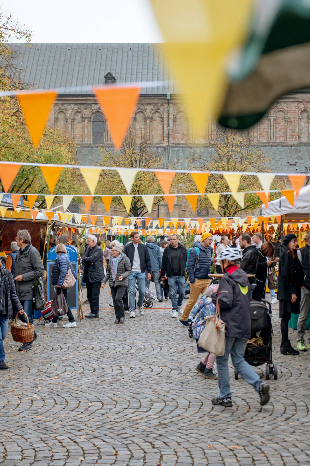 Erntedankmarkt auf dem Domhof