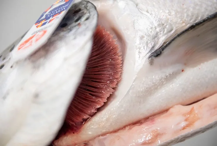 Fischfeinkost Westmeyer – Bild 2